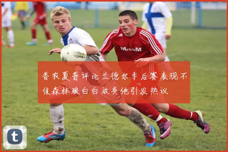 香农夏普评论兰德尔季后赛表现不佳森林狼白白放弃他引发热议